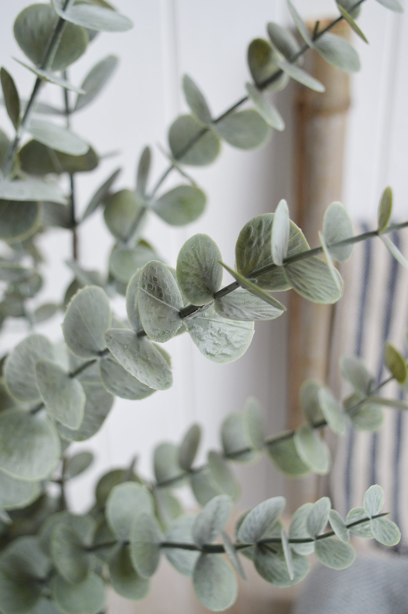 Faux Eucalyptus plant in a coastal home interior