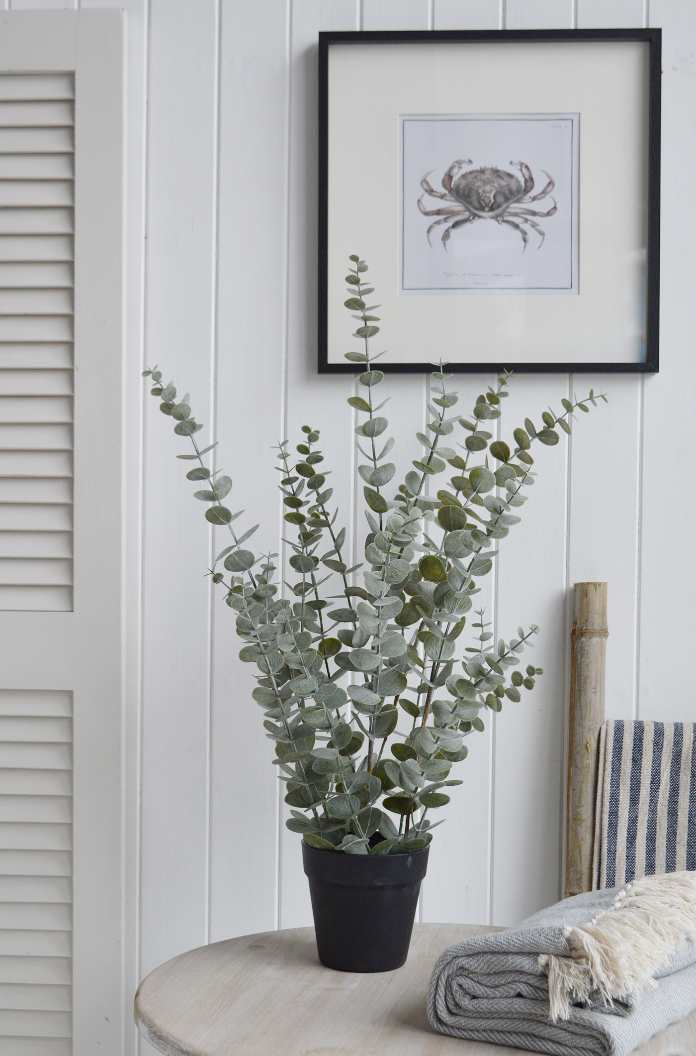 Dusky green Faux Eucalyptus plant in a coastal home interior