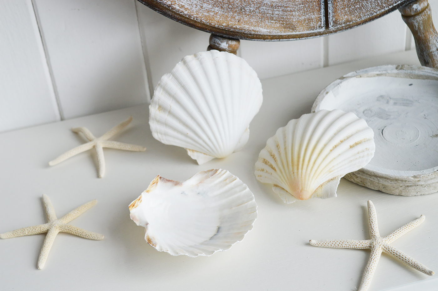 Decorative Starfish and Shells - Coastal Nautical Interior design  Accessories