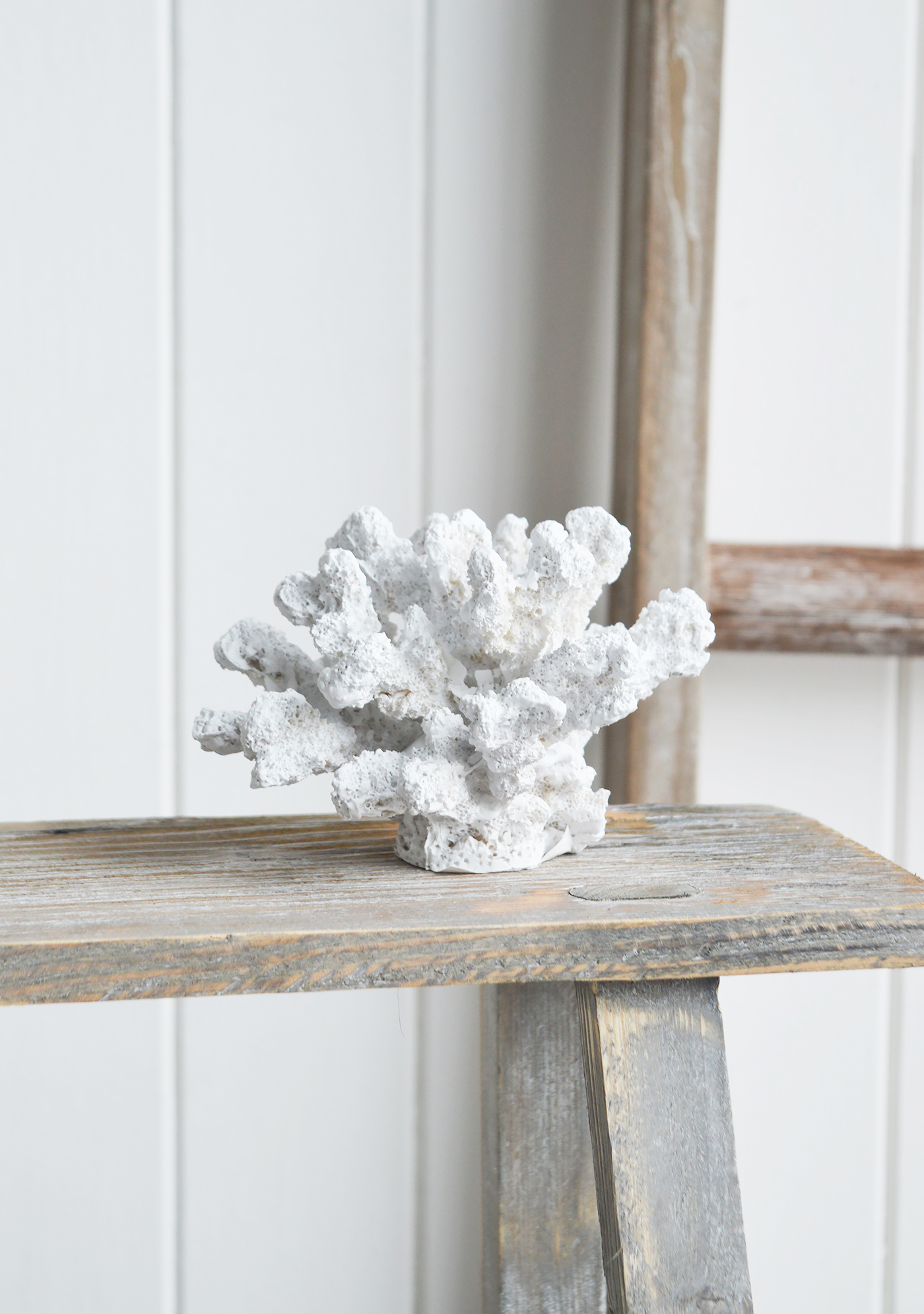 Decorative Faux White Coral - Coffee Table Decor Elegant Coastal