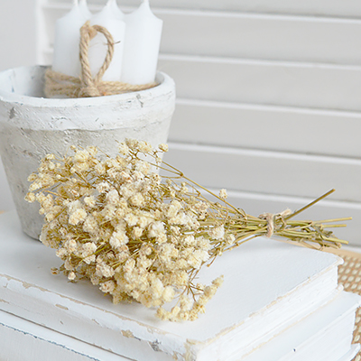 The simple beauty of these flowers complements both coastal and modern country homes.