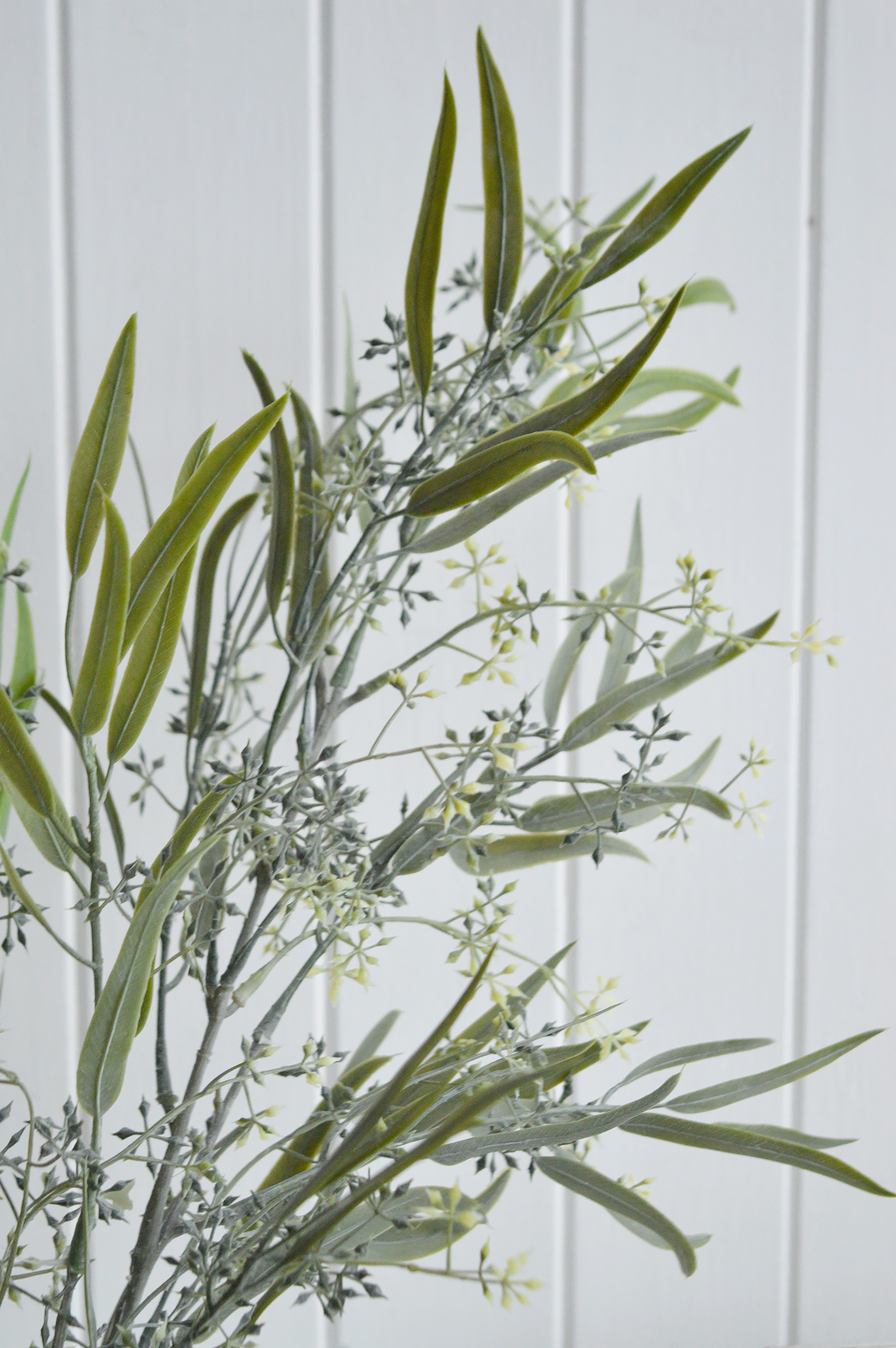 A close up of a single stem of seeded Eucalyptus spray for adding greenery to a New England farmhouse interior 