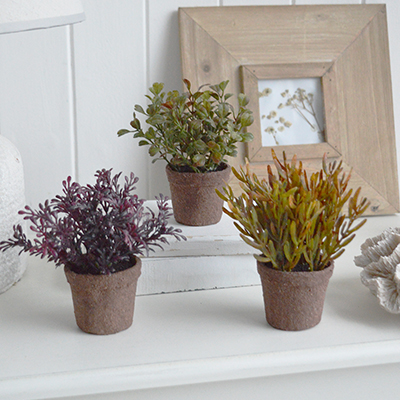 This mini faux succulent trio in rustic pots is perfect for adding natural texture to neutral interiors, farmhouse homes and New England–inspired spaces.