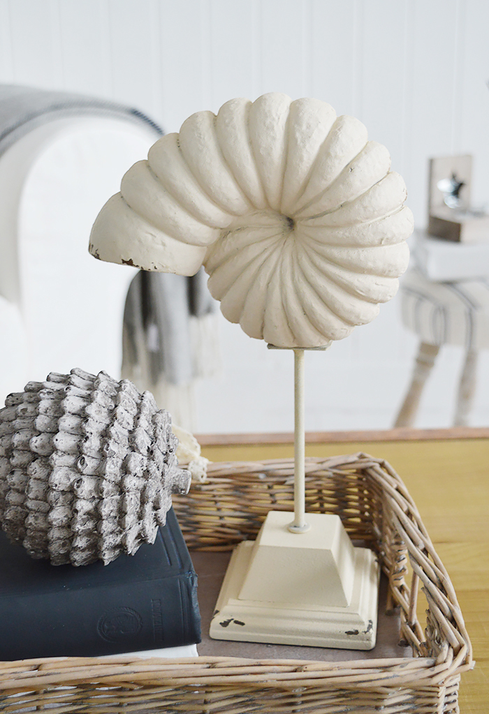 Decorative Shell on stand - Nautical Coastal Home Accessories